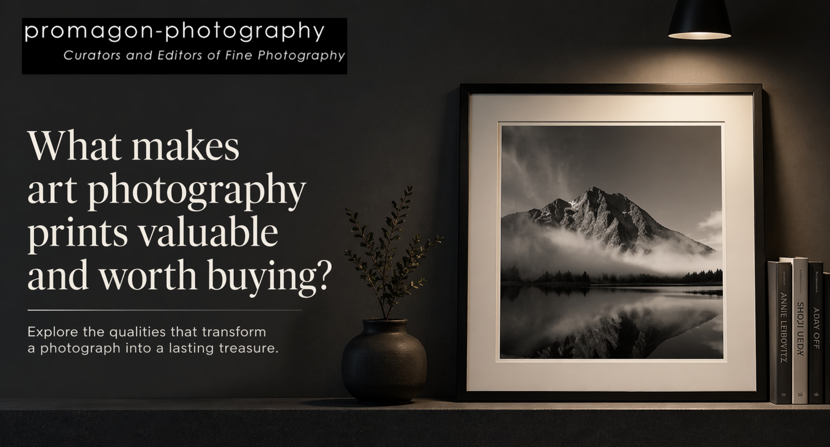 What Makes Art Photography Prints Valuable and Worth Buying